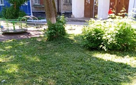 Покос травы на придомовых территориях